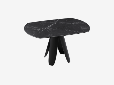 TABLE DE REPAS AJACCIO