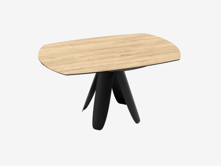 TABLE DE REPAS AJACCIO