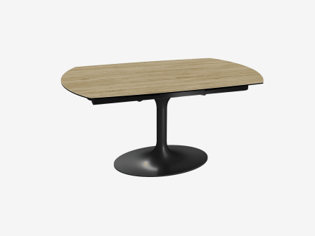 TABLE DE REPAS GRANDE CORCOVADO