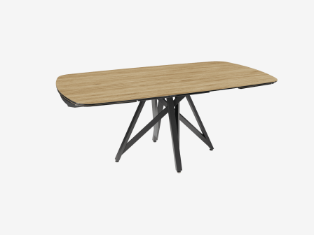 TABLE DE REPAS OIA-VILNIUS