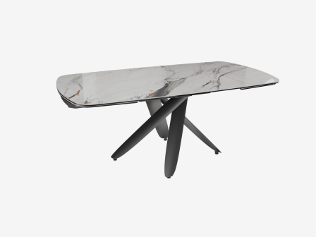 TABLE DE REPAS OIA-SANTOS